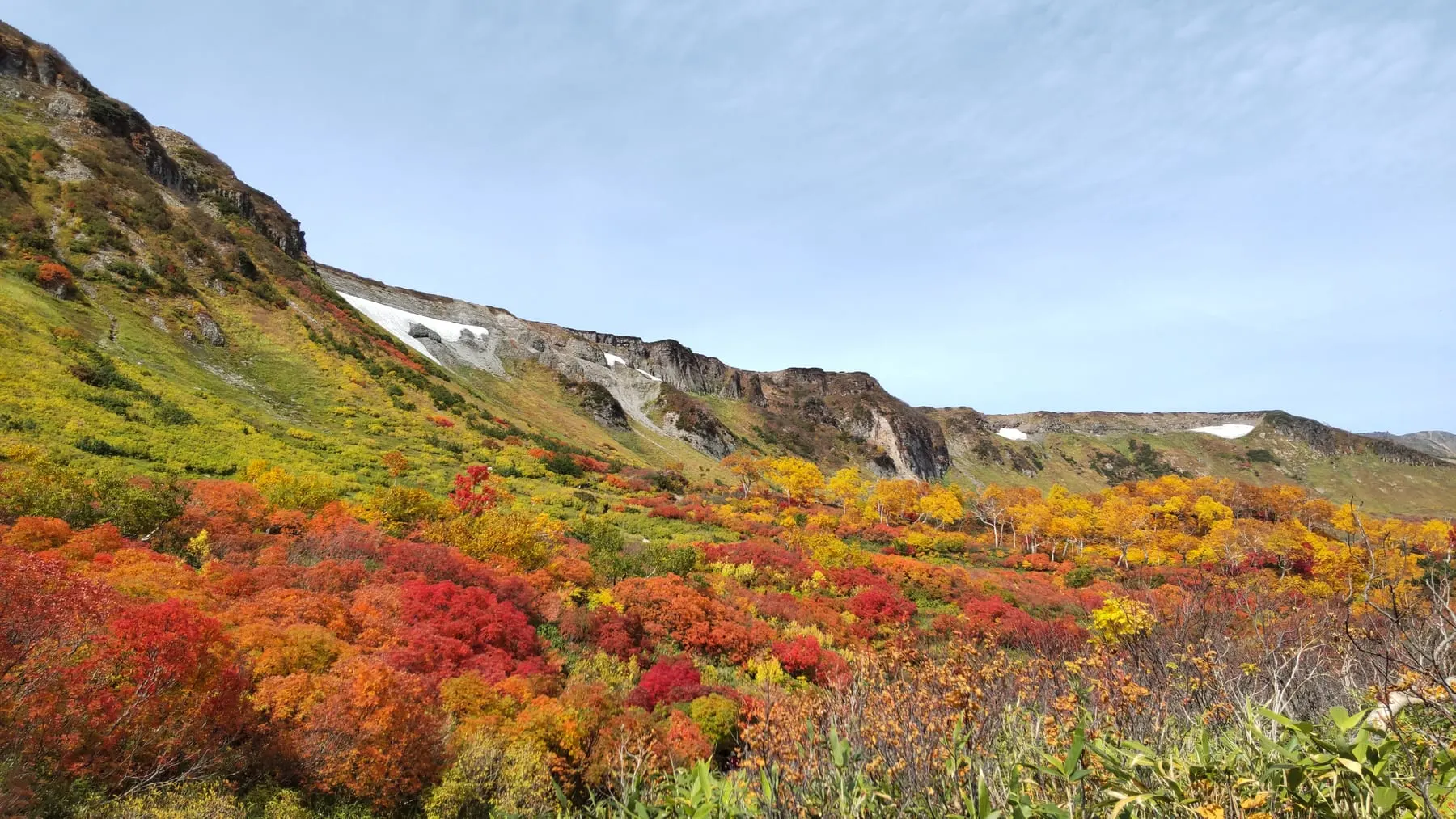 紅葉した斜面の向こうに、岩壁の下へ帯状に残る雪渓