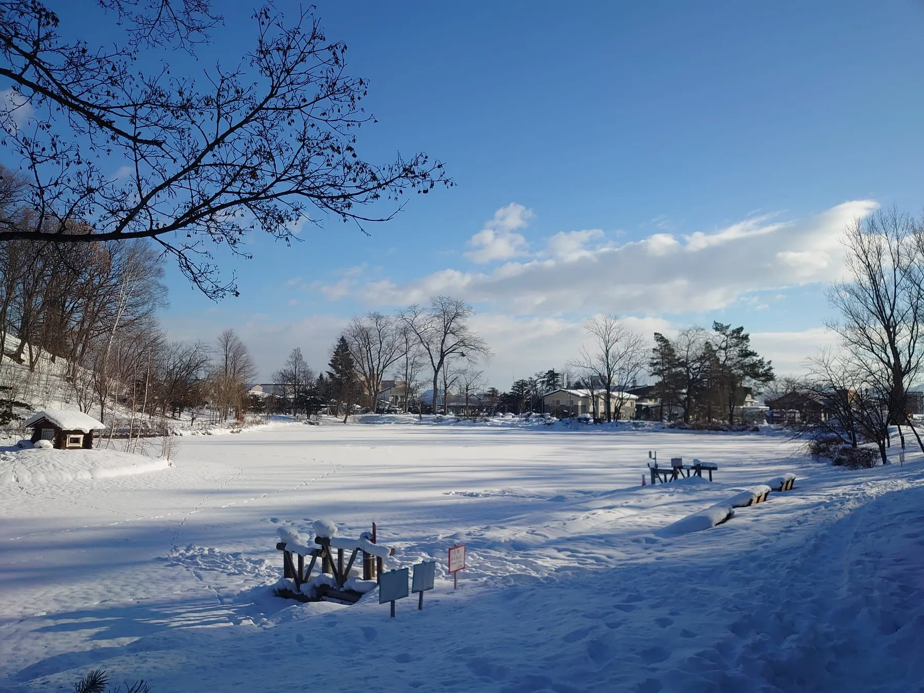 雪に覆われて全面結氷した池。奥に住宅と冬枯れの木々が並ぶ