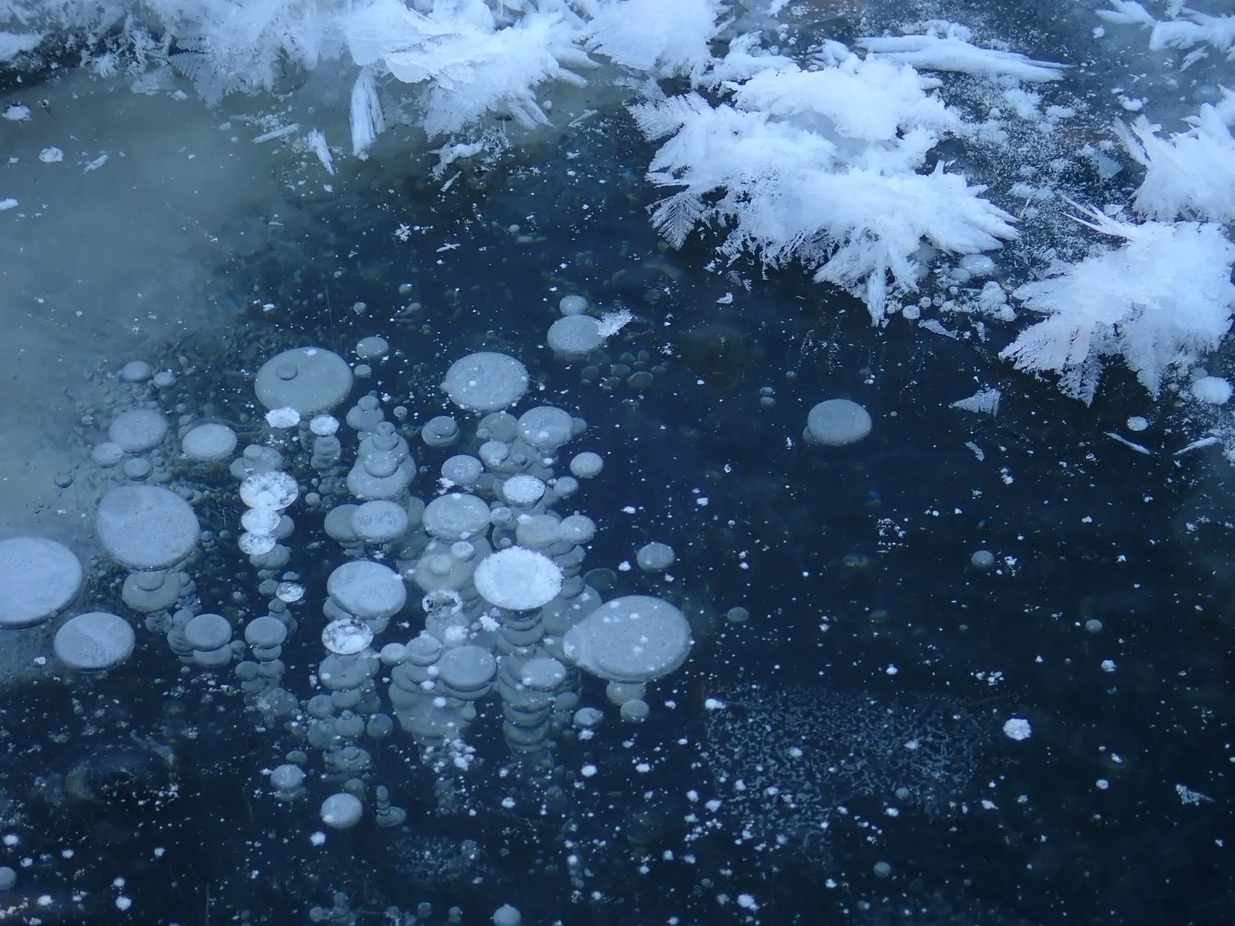 湖の氷に閉じ込められた円盤状の気泡と、氷の上に羽根のように成長した霜