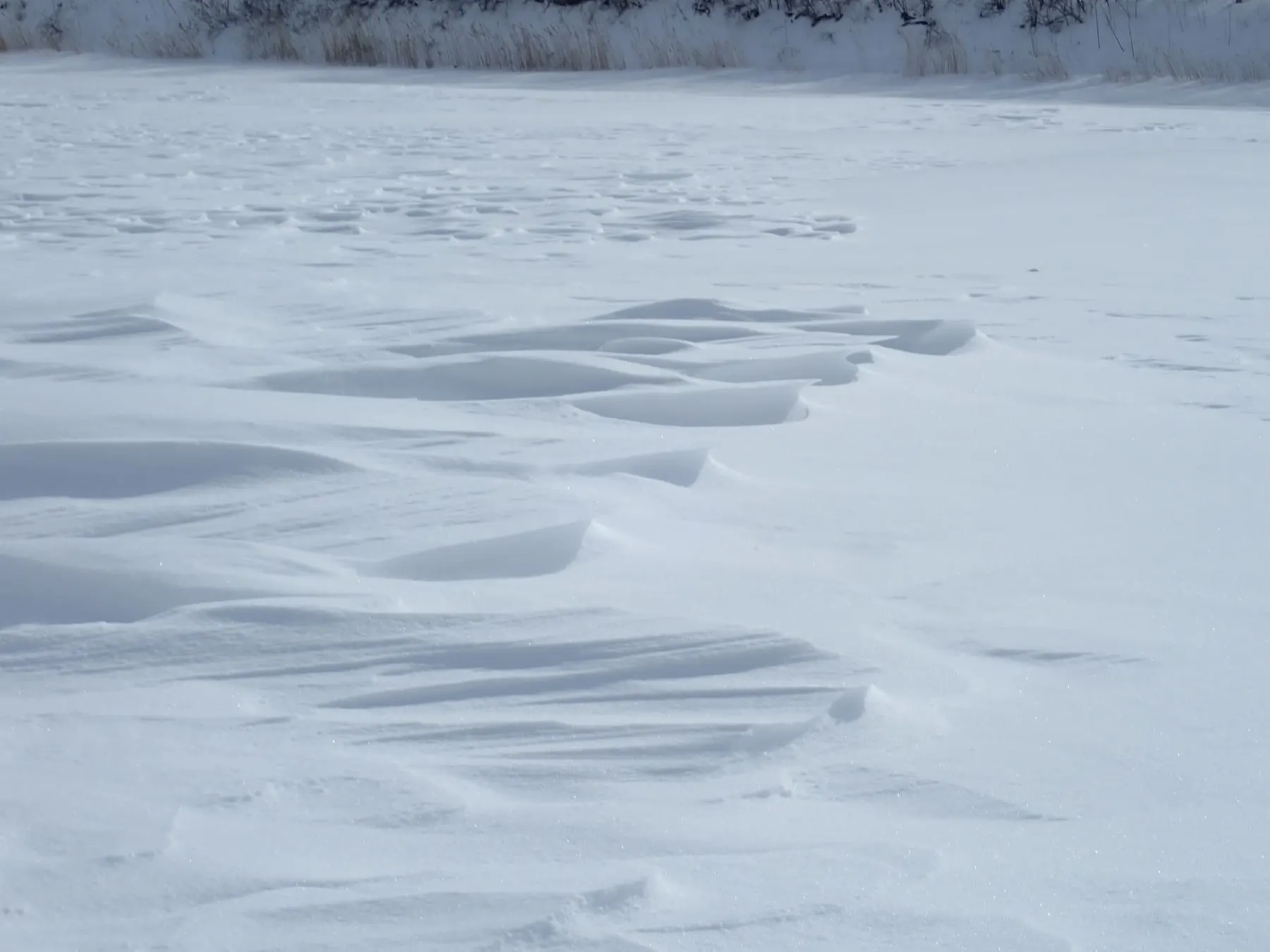 結氷した湖面の雪が風で削られてできた、うねるような吹きだまりの列